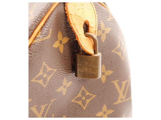 Borsa a mano Louis Vuitton Speedy 30 Monogram Canvas Brown - vista 10