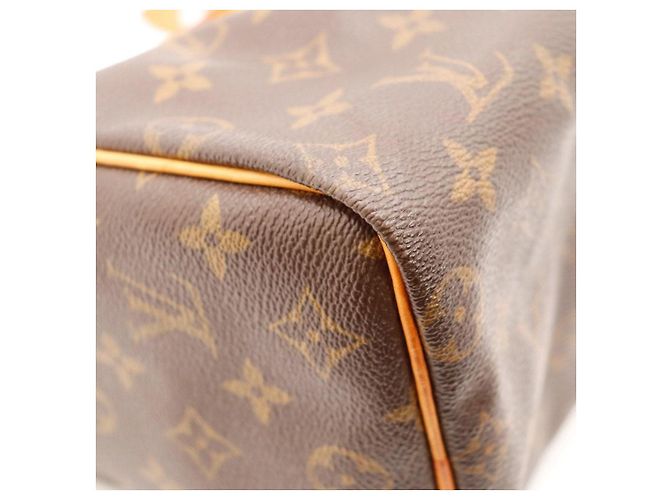 Bolso Louis Vuitton Speedy 30 Monogram Canvas - vista 12
