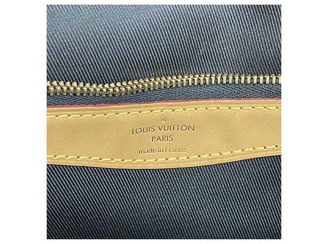 Borsa Louis Vuitton Monogram Diane NM PM - vista 5