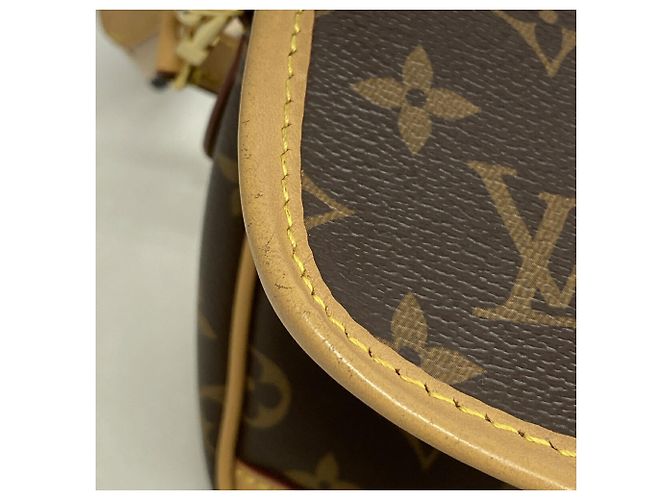 Borsa Louis Vuitton Monogram Diane NM PM - vista 8