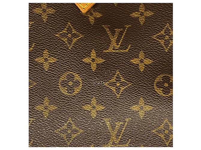 Borsa Louis Vuitton Monogram Alma M51130 - vista 10