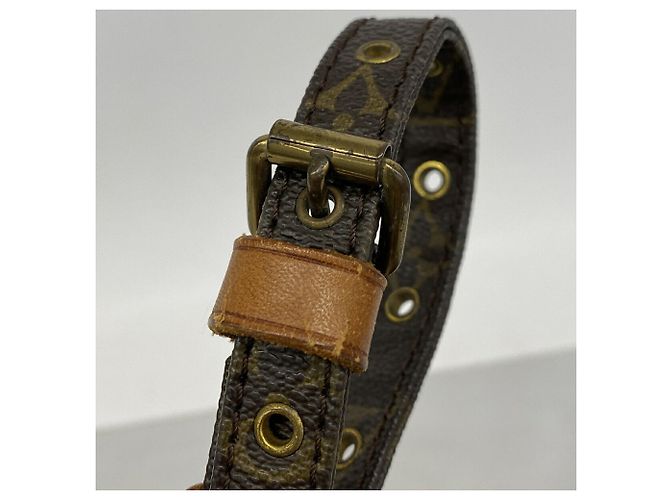 Louis Vuitton Monogram Danube Shoulder Bag M45266 - vista 11
