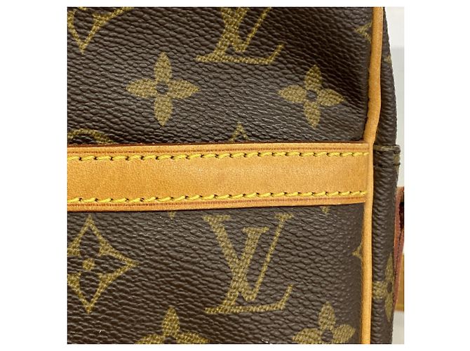 Borsa a tracolla Louis Vuitton Monogram Danube - vista 7