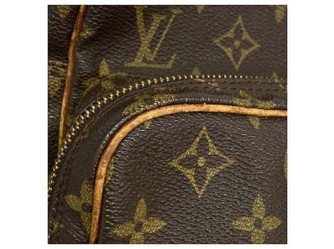 Louis Vuitton Monogram Amazon Schultertasche - Ansicht 8