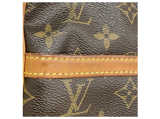 Louis Vuitton Monogram Danube Shoulder Bag M45266 - vista 11