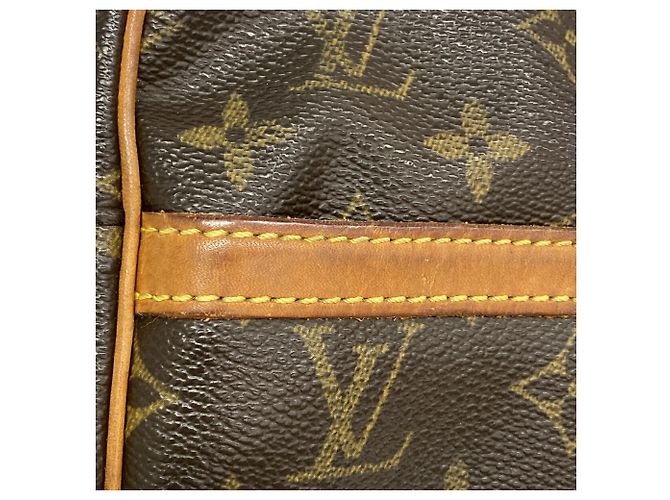 Louis Vuitton Monogram Danube Shoulder Bag M45266 - vista 7