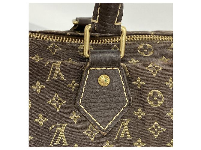 Borsa Louis Vuitton Monogram Mini Lin Speedy 30 - vista 12