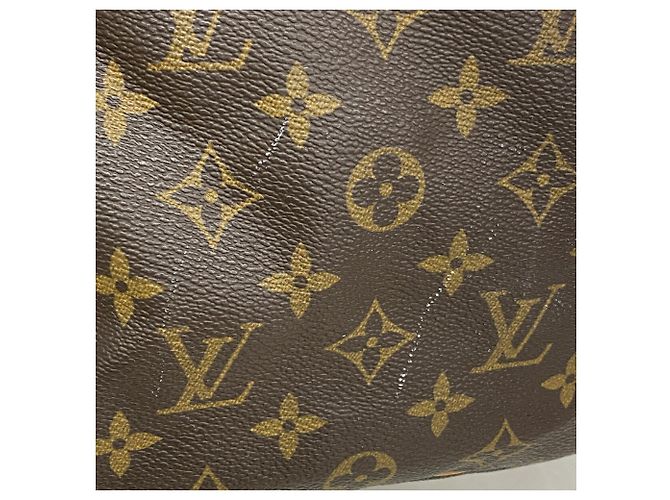 Louis Vuitton Monogram Speedy 35 Handtasche - Ansicht 9