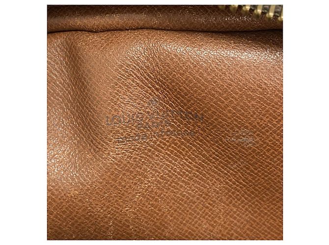 Bolsa de Ombro Louis Vuitton Monogram Mini Amazon - vista 5
