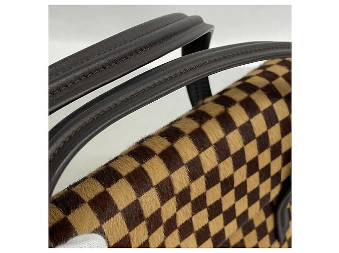 Borsa Louis Vuitton Damier Sauvage Lion - vue 9
