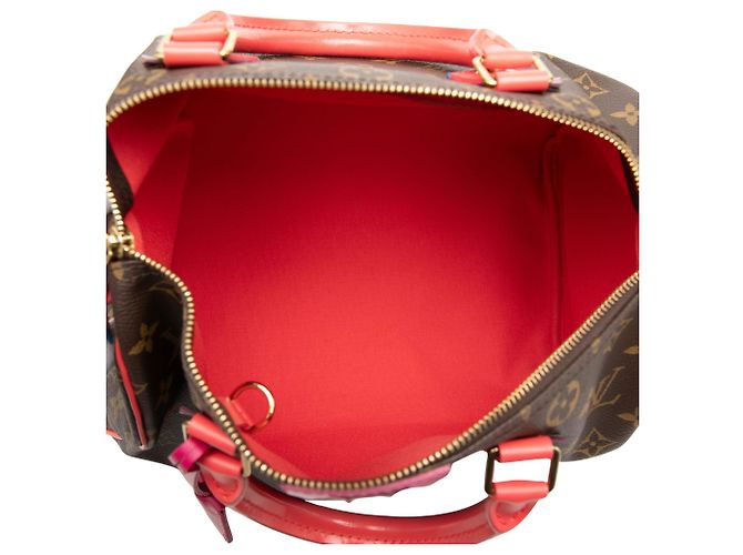 Louis Vuitton Brown Monogram Totem Speedy 30 - vista 4