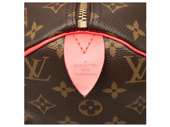Louis Vuitton Brown Monogram Totem Speedy 30 - vista 5