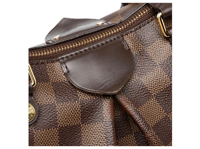 Louis Vuitton Brown Damier Ebene Siena MM - vista 7