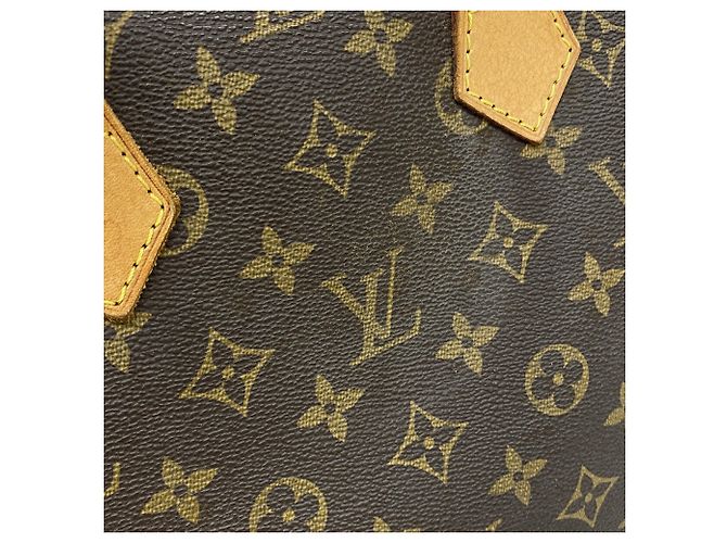 Borsa Louis Vuitton Monogram Alma - vista 12