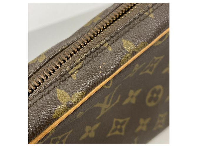 Borsa a pochette Louis Vuitton Monogram Marly Dragonne GM - vista 9