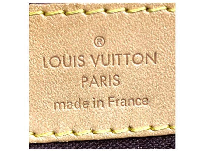 Louis Vuitton Borsa LouisVuittonTurenPMMonogram - vista 4