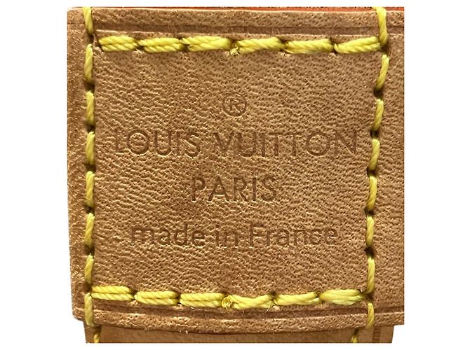 Sac à main Louis Vuitton Monogram Alma PM - vue 4