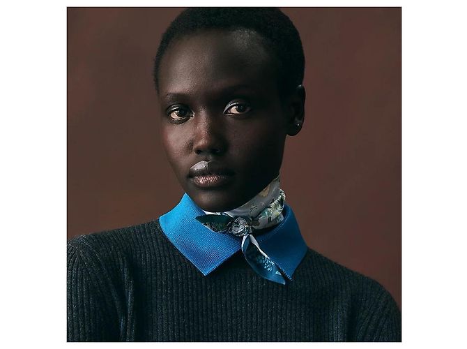 Hermès Pañuelo de seda Twilly Rewilding Nature - vista 4