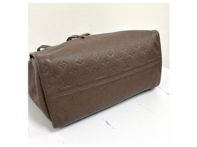 Louis Vuitton Borsa Tote e a Tracolla Luminescente - vista 12