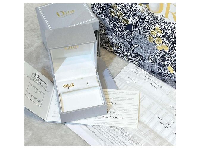 Dior Orecchino singolo Christian Amour YG - vista 5