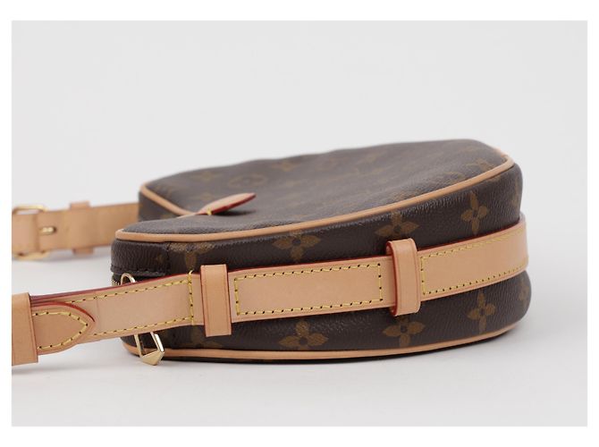 Louis Vuitton Croissant MM Shoulder Bag Monogram - view 5