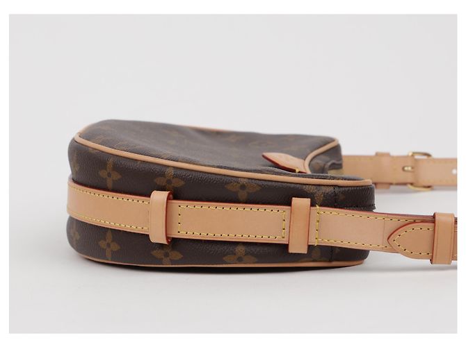 Louis Vuitton Croissant MM Shoulder Bag Monogram - view 7