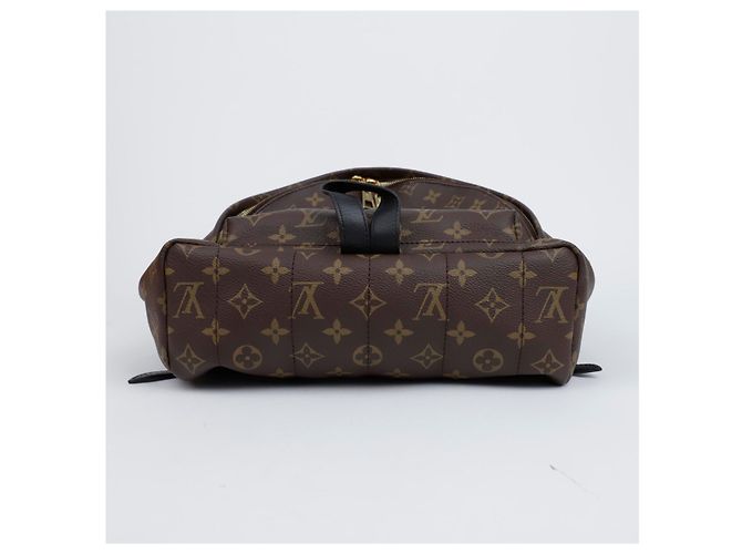 Louis Vuitton Palm Springs Rucksack aus Monogram Canvas Größe MM - Ansicht 6