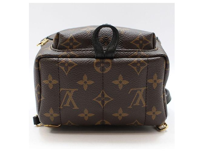 Louis Vuitton Monogram Palm Springs Mini Backpack - view 5