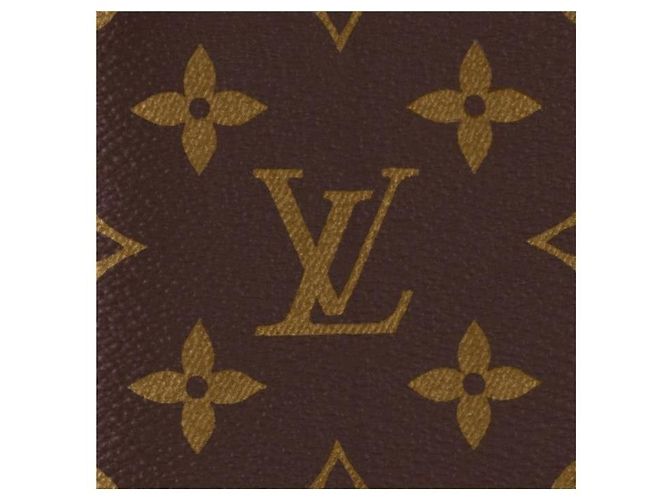 Louis Vuitton Portafoglio Brassaa Monogram - vista 6