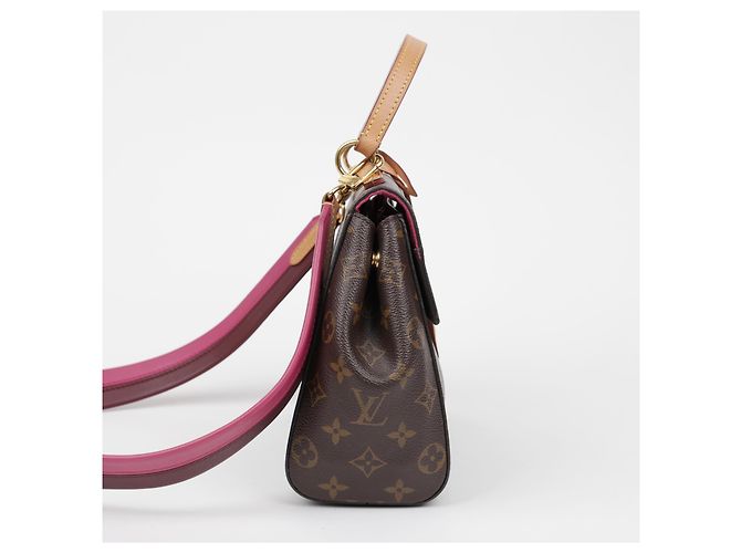 Louis Vuitton Borsa Tote Cluny BB Monogram Canvas - vista 6