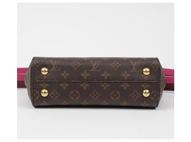 Louis Vuitton Borsa Tote Cluny BB Monogram Canvas - vista 7