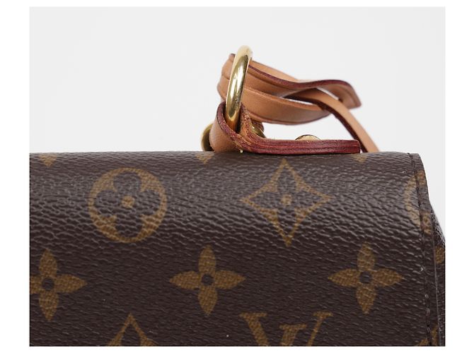 Louis Vuitton Borsa Tote Cluny BB Monogram Canvas - vista 9