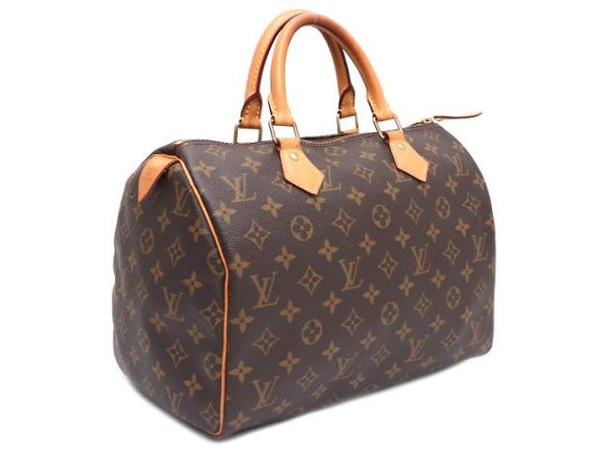Louis Vuitton Bolso Tote Speedy Monogram Canvas - vista 11