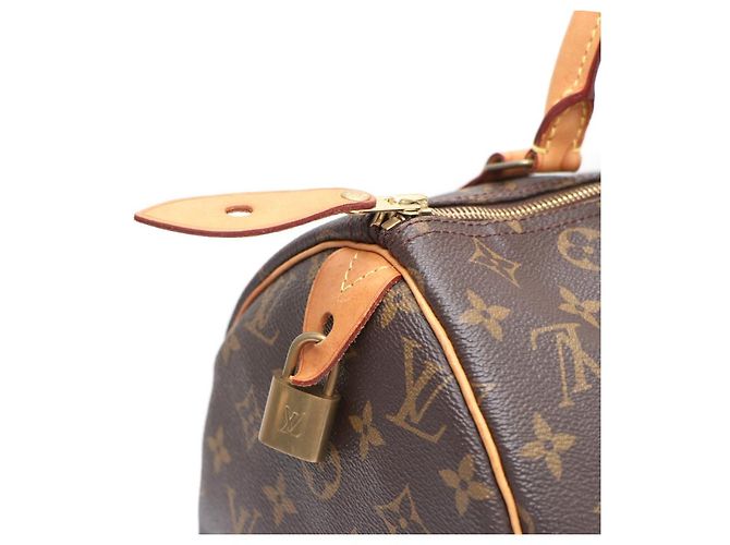 Louis Vuitton Bolso Tote Speedy Monogram Canvas - vista 14