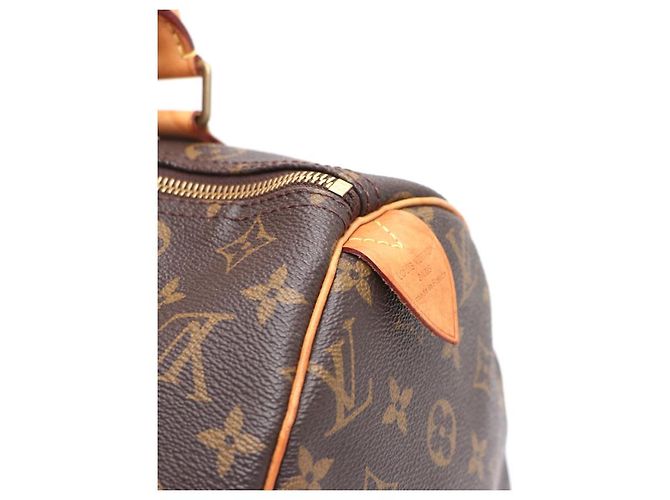 Louis Vuitton Bolso Tote Speedy Monogram Canvas - vista 15