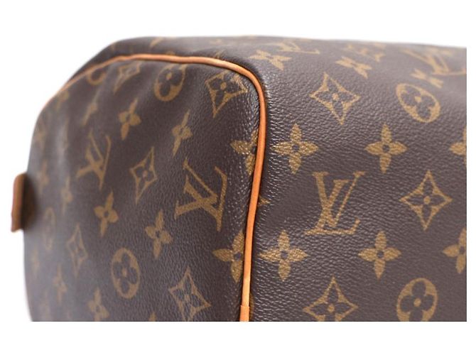 Louis Vuitton Bolso Tote Speedy Monogram Canvas - vista 16