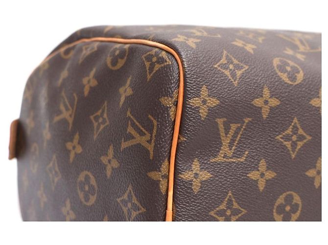 Louis Vuitton Bolso Tote Speedy Monogram Canvas - vista 7