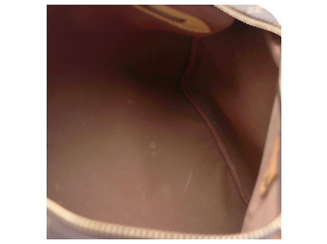 Louis Vuitton Bolso Tote Speedy Monogram Canvas - vista 9