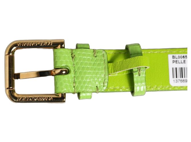 Dolce & Gabbana Pulseira strap com fivela dourada em couro texturizado verde - vista 4
