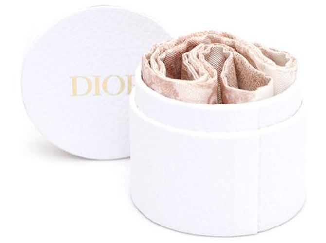 Dior TOILE DE JOUY SAUVAGE Twilly Silk Scarf - view 10