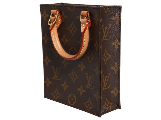 Louis Vuitton Borsa Petit Sac Plat in Monogram Canvas - vista 4