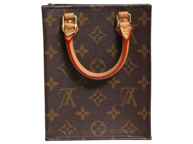 Louis Vuitton Borsa Petit Sac Plat in Monogram Canvas - vista 5