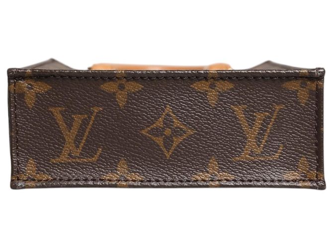 Louis Vuitton Borsa Petit Sac Plat in Monogram Canvas - vista 8