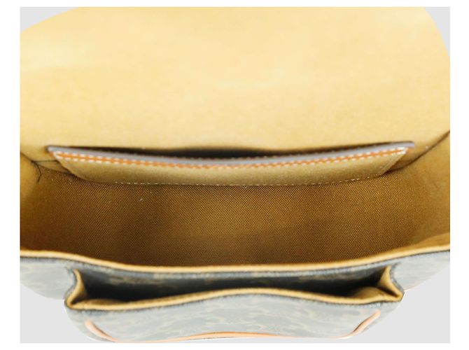 Céline Borsa a tracolla Triomphe Canvas Polco - vista 5