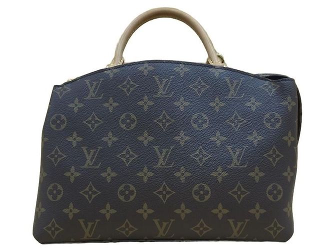 Louis Vuitton Borsa Tote Petit Palais Monogram Canvas - vista 15