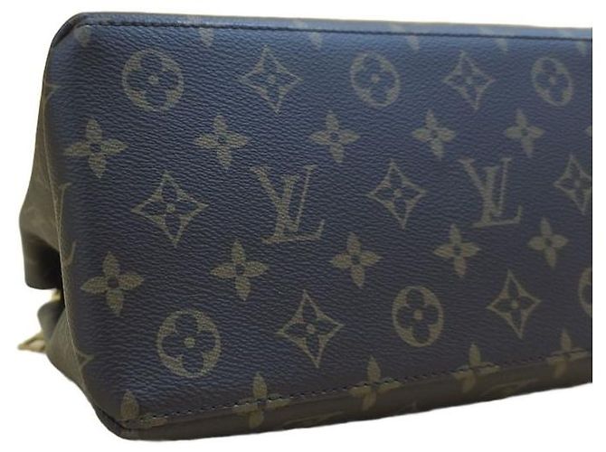Louis Vuitton Borsa Tote Petit Palais Monogram Canvas - vista 16