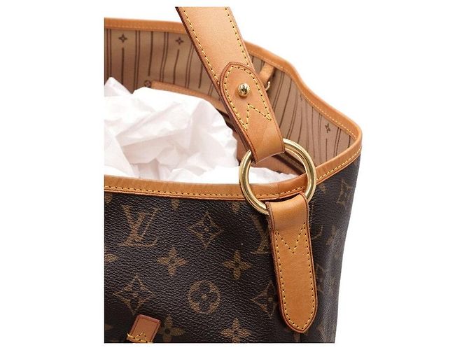 Louis Vuitton Borsa a tracolla Delightful GM in Monogram Canvas - vista 12