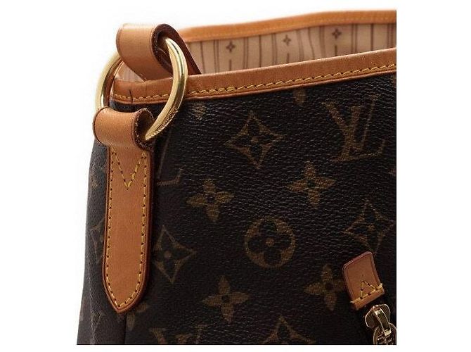 Louis Vuitton Borsa a tracolla Delightful GM in Monogram Canvas - vista 9