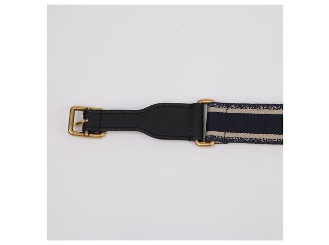 Dior Cintura Oblique Blue Gold - vista 10