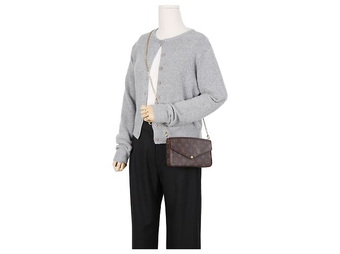 Pochette Félicie Louis Vuitton Pochette Felicie Monogram Canvas Chain Shoulder Bag - vista 14